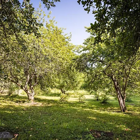 Maalaishuvila Wanha Virkailija Iittala Villa *