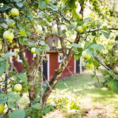 Maalaishuvila Wanha Virkailija Iittala Villa *