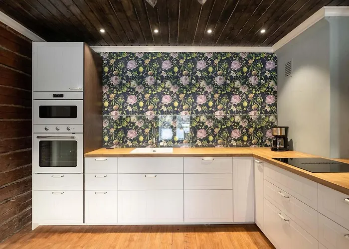 Maalaishuvila Wanha Virkailija Iittala Hämeenlinna