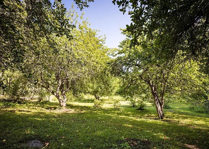 Maalaishuvila Wanha Virkailija Iittala Villa *