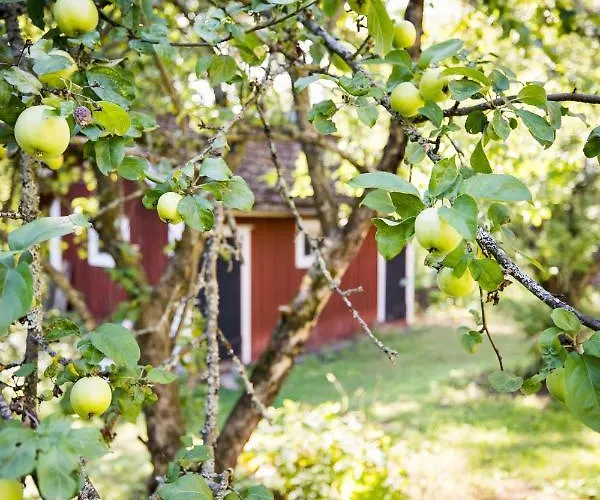 Maalaishuvila Wanha Virkailija Iittala Villa *